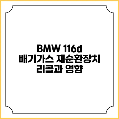 BMW 116d 배기가스 재순환장치 리콜과 영향