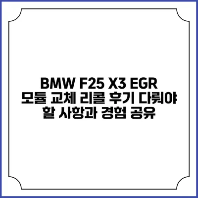 BMW F25 X3 EGR 모듈 교체 리콜 후기: 다뤄야 할 사항과 경험 공유
