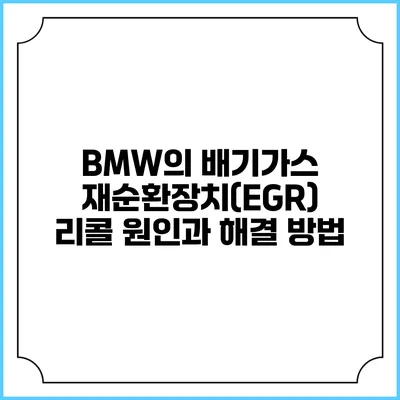 BMW의 배기가스 재순환장치(EGR) 리콜 원인과 해결 방법