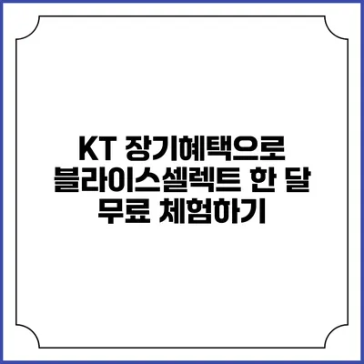 KT 장기혜택으로 블라이스셀렉트 한 달 무료 체험하기