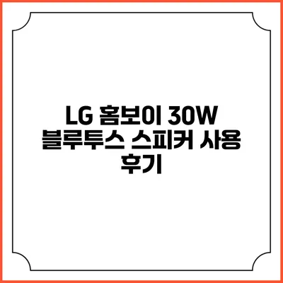 LG 홈보이 30W 블루투스 스피커 사용 후기
