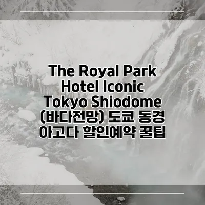 The Royal Park Hotel Iconic Tokyo Shiodome (바다전망) 도쿄 동경 아고다 할인예약 꿀팁