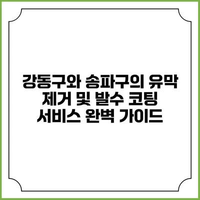 강동구와 송파구의 유막 제거 및 발수 코팅 서비스 완벽 가이드