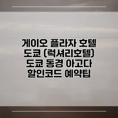 게이오 플라자 호텔 도쿄 (럭셔리호텔) 도쿄 동경 아고다 할인코드 예약팁