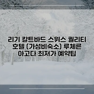 리기 칼트바드 스위스 퀄리티 호텔 (가성비숙소) 루체른 아고다 최저가 예약팁