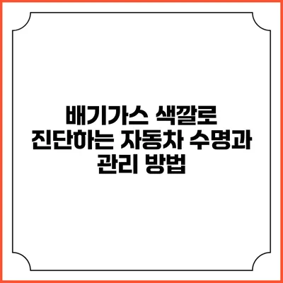 배기가스 색깔로 진단하는 자동차 수명과 관리 방법