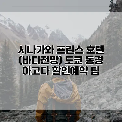 시나가와 프린스 호텔 (바다전망) 도쿄 동경 아고다 할인예약 팁
