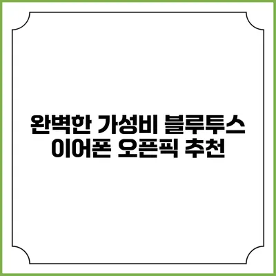 완벽한 가성비 블루투스 이어폰 오픈픽 추천