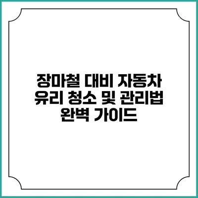 장마철 대비 자동차 유리 청소 및 관리법 완벽 가이드