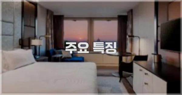 ✨ 주요 특징