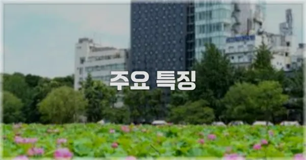 ✨ 주요 특징