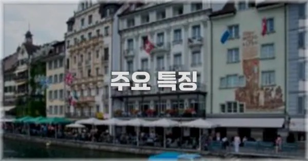 ✨ 주요 특징