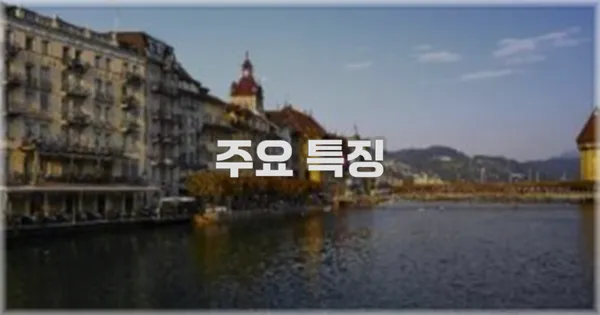 ✨ 주요 특징
