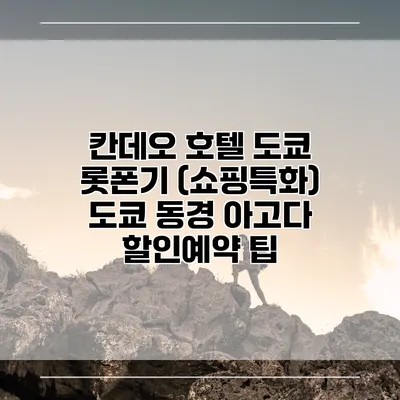 칸데오 호텔 도쿄 롯폰기 (쇼핑특화) 도쿄 동경 아고다 할인예약 팁