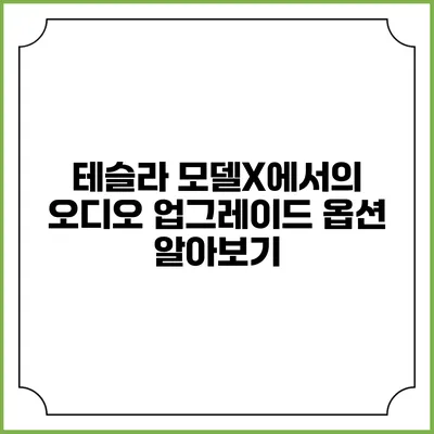 테슬라 모델X에서의 오디오 업그레이드 옵션 알아보기