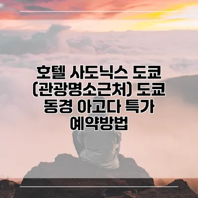 호텔 사도닉스 도쿄 (관광명소근처) 도쿄 동경 아고다 특가 예약방법