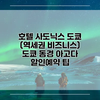 호텔 사도닉스 도쿄 (역세권 비즈니스) 도쿄 동경 아고다 할인예약 팁