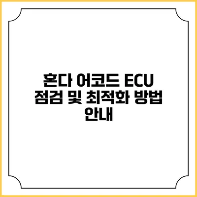혼다 어코드 ECU 점검 및 최적화 방법 안내
